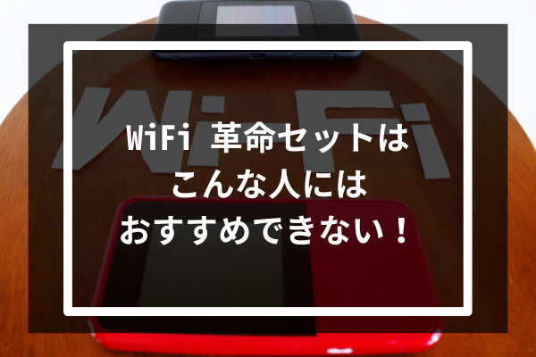 WiFi 革命セットはこんな人にはおすすめできない!