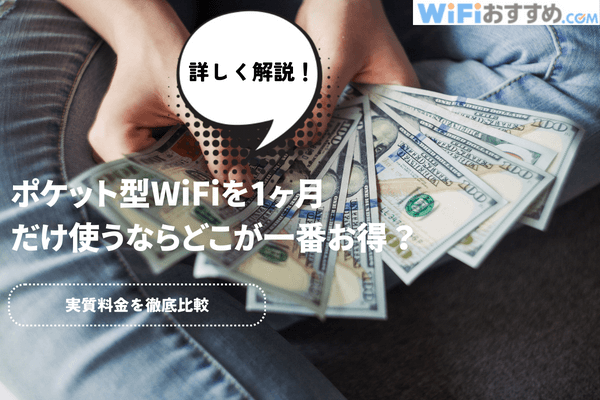 1ヶ月ポケットWiFi