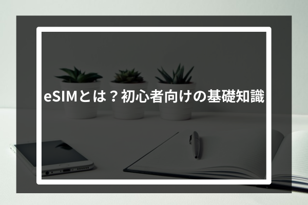 eSIMとは？初心者向けの基礎知識